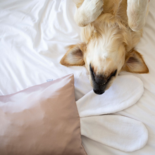 TODDLER BUNNY EAR SATIN PILLOW